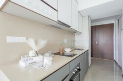 Normanton Park (D5), Apartment #455829871